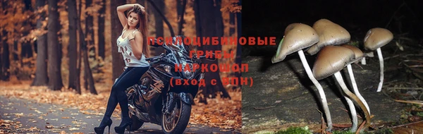 твердый Балабаново