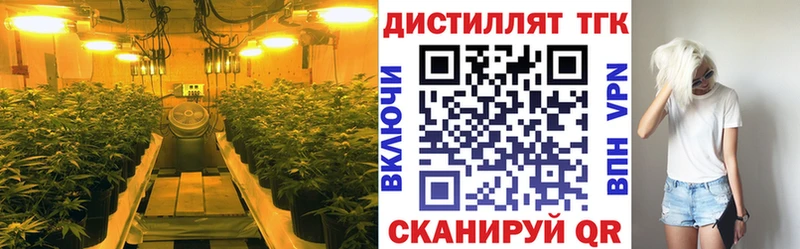 Дистиллят ТГК Wax  купить наркотики цена  Елабуга 