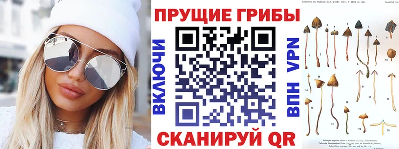 KRAKEN ONION  Елабуга  Псилоцибиновые грибы ЛСД 